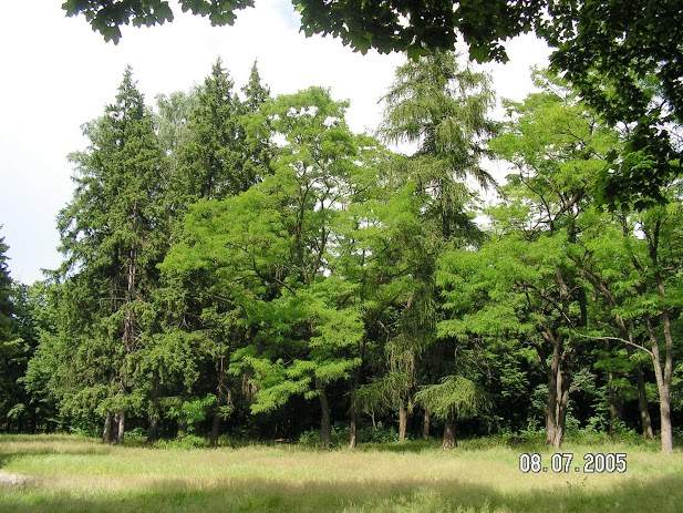 Mańkavičy. Estate of Radziwiłł