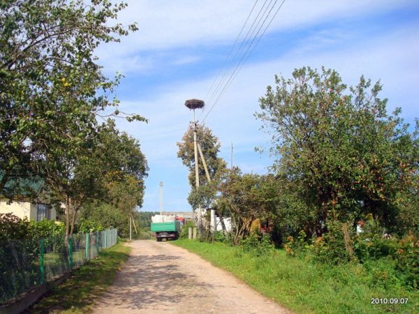 Gai. In the village 