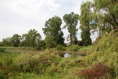 Szyłowicze. Folwark 