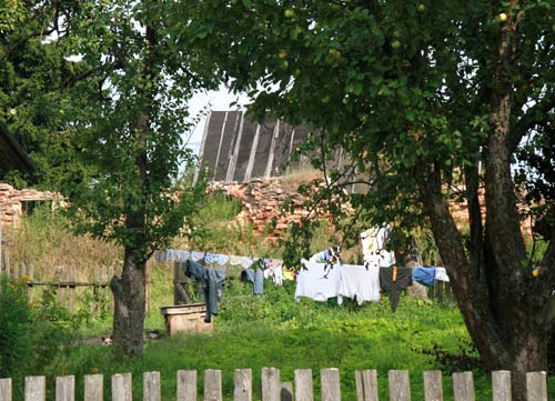 Folwark  . Ruiny budynka gospodarczego  - Folwark . Ruiny budynka gospodarczego