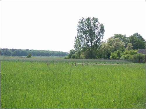 Zburaž. Landscapes 