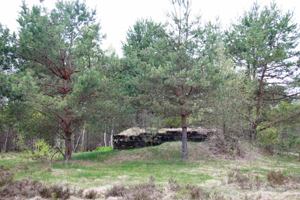  - Абарончыя ўмацаванні . ДАК №1 знаходзіцца каля дарогі, што вядзе ад Пятухоўшчыны да Пад'язаўля