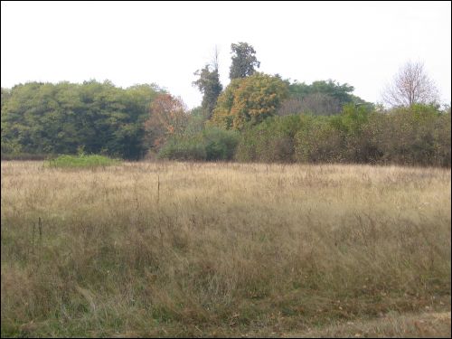 Czerniewicze. Park dworski Skirmunttów