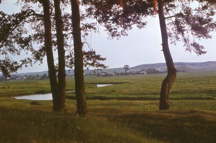 Roscievičy. Landscapes 