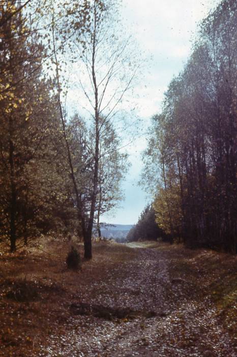  - Landscapes . 