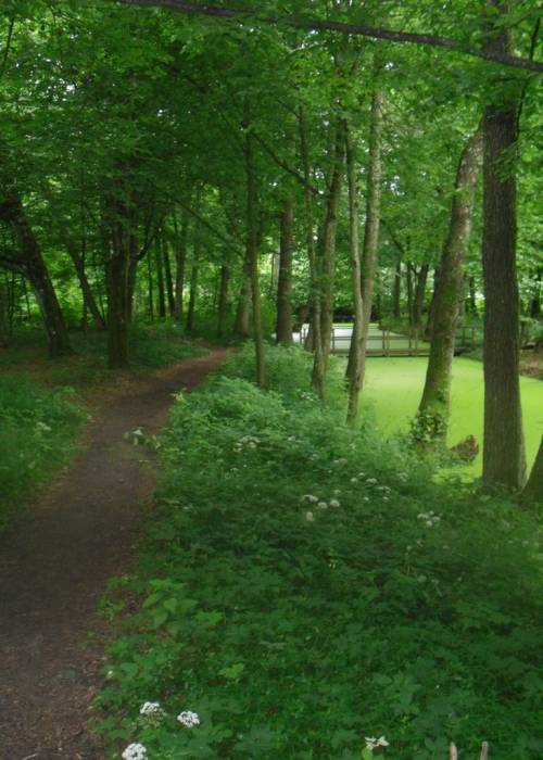 Dubaj. Manor park of the Kužaniecki former Manor-place