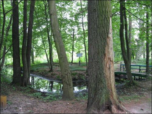 Duboj. Cmentarz wojenny z I wojny światowej 