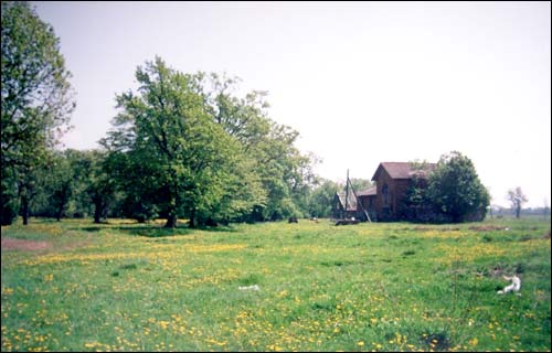 Zianavil (Lažajka). Manor park of the Visłavuch former Manor-place
