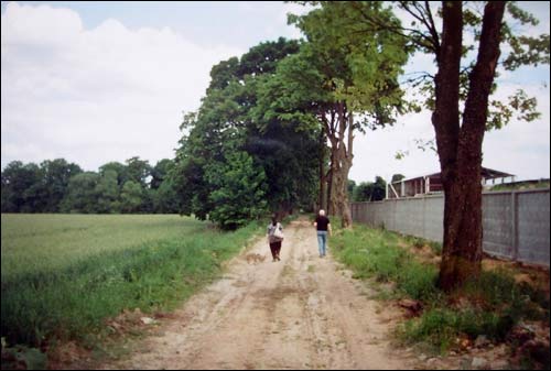 Zianavil (Lažajka). Manor park of the Visłavuch former Manor-place