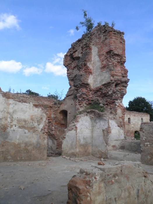 Halšany.  Castle of Sapieha, ruins