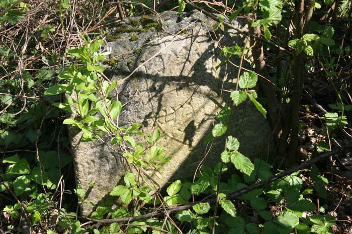 Грозава. Могілкі габрэйскія