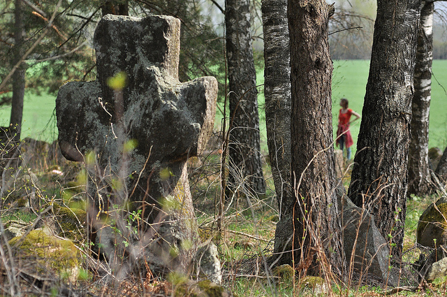 Babcy.  The Rock Crosses