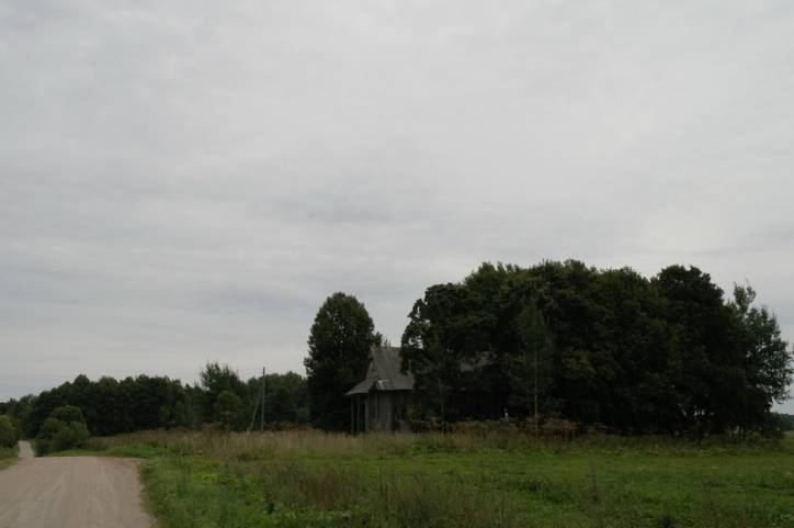  ().  