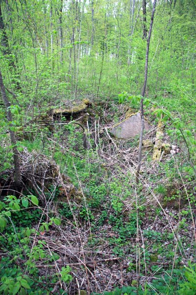  - Приусадебный парк . На этом месте стояла часовня