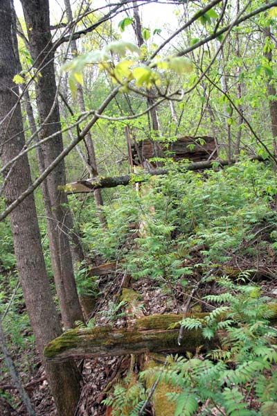 Грудополь. Приусадебный парк 